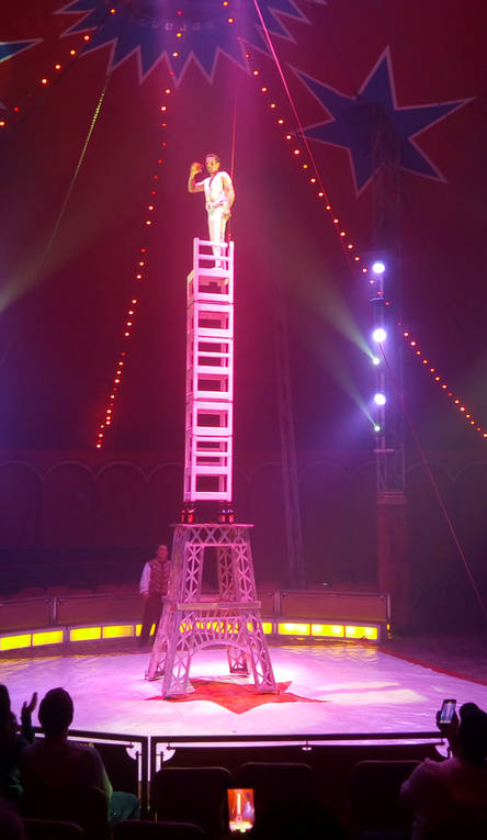Im Zirkus